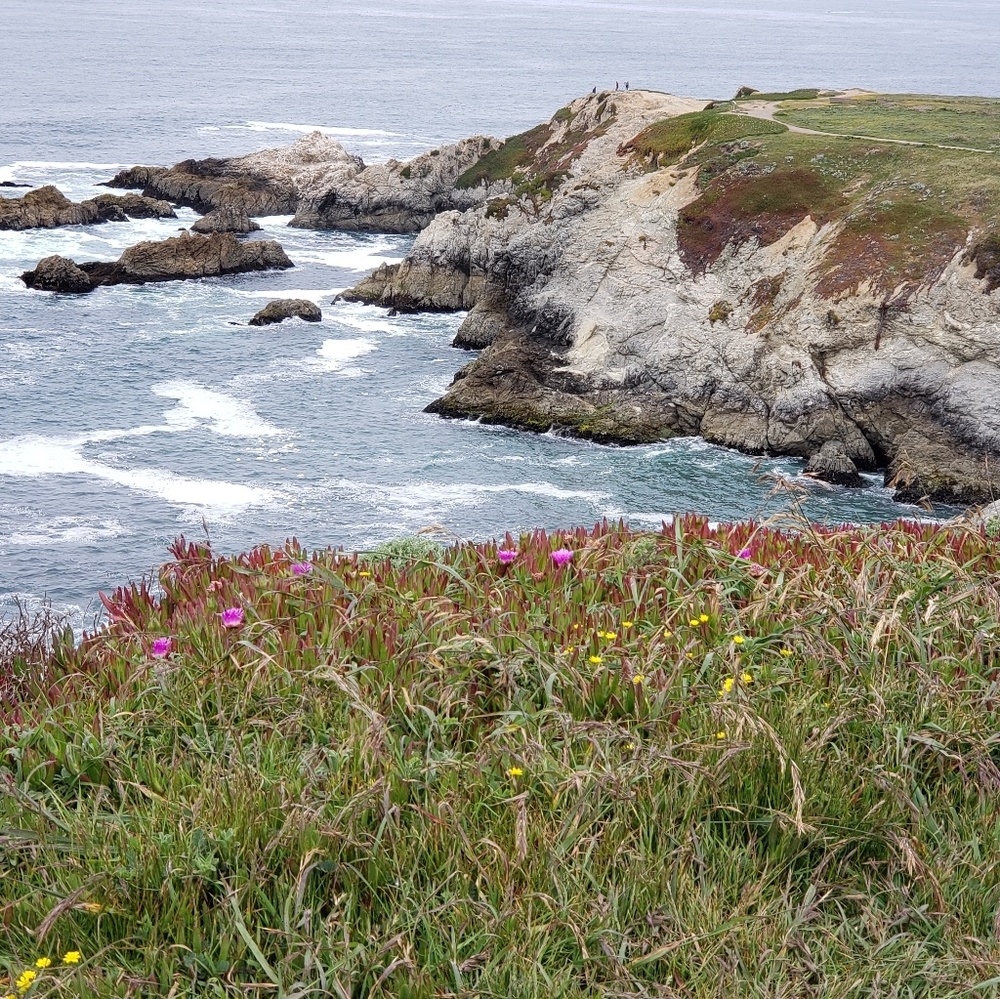 Meet your Posher, Carol